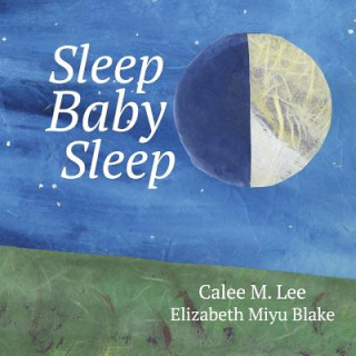 Book Sleep, Baby, Sleep Calee M. Lee