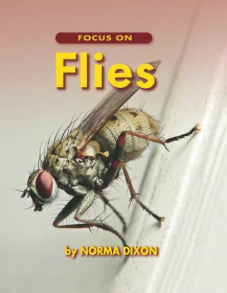 Kniha Focus on Flies Norma Dixon
