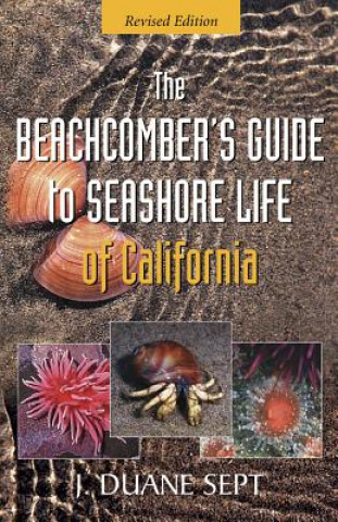 Kniha Beachcomber's Guide to Seashore Life of California J. Duane Sept