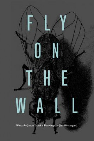 Könyv Fly on the Wall Jason Brink