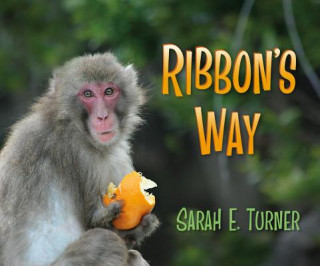 Kniha Ribbon's Way Sarah E. Turner