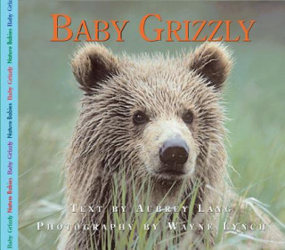 Carte Baby Grizzly Aubrey Lang