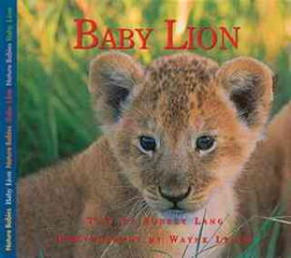 Kniha Baby Lion Aubrey Lang