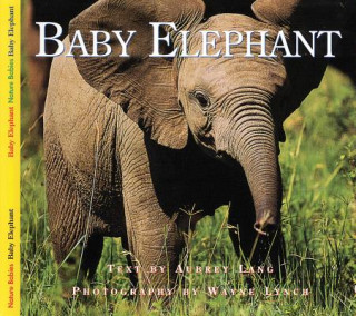 Könyv Baby Elephant Aubrey Lang