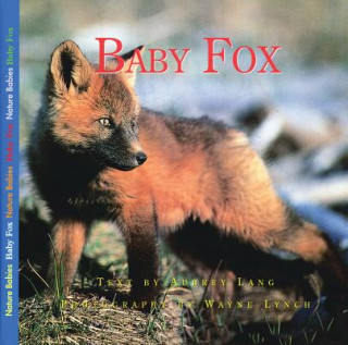 Carte Baby Fox Aubrey Lang