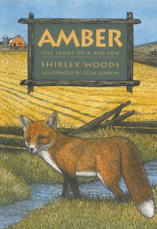 Könyv Amber: The Story of a Red Fox Shirley E. Woods