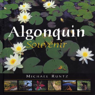 Kniha Algonquin Souvenir Michael Runtz