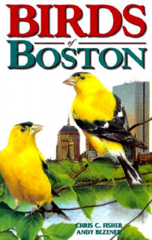 Carte Birds of Boston Chris Fisher