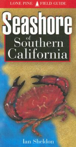 Könyv Seashore of Southern California Ian Sheldon