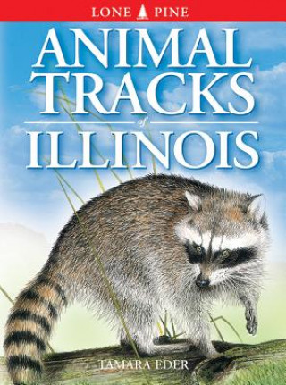 Książka Animal Tracks of Illinois Tamara Eder