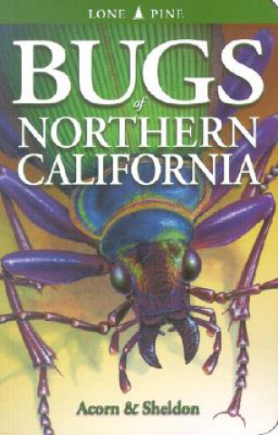 Buch Bugs of Northern California John Acorn