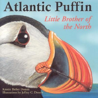 Kniha Atlantic Puffin: Little Brother of the North Kristin Bieber Domm