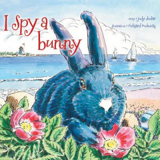 Könyv I Spy a Bunny Judy Dudar