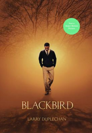 Könyv Blackbird (New Edition) Larry Duplechan