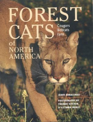 Knjiga Forest Cats of North America Jerry Kobalenko