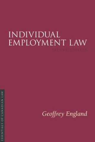 Kniha Individual Employment Law Geoffrey England