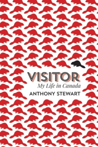 Knjiga Visitor Anthony Stewart
