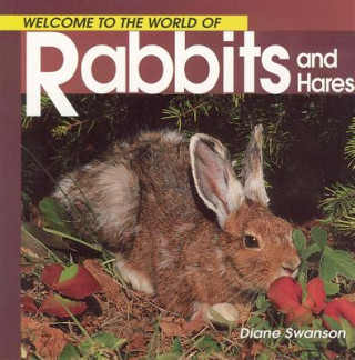 Carte Welcome to the World of Rabbits and Hares Diane Swanson