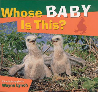Книга Whose Baby Is This? Wayne Lynch