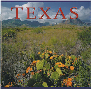 Könyv Texas Tanya Lloyd Kyi