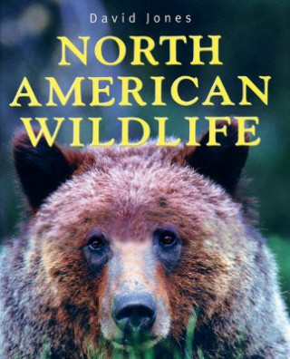 Kniha North American Wildlife David Jones