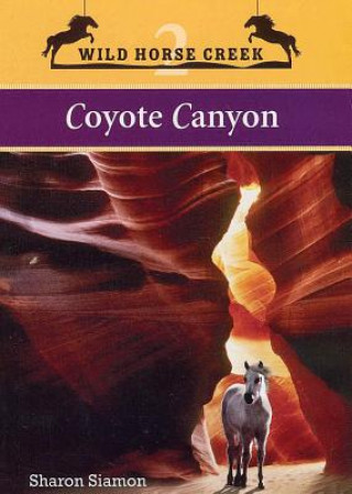 Carte Coyote Canyon Sharon Siamon
