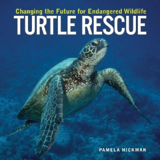 Książka Turtle Rescue: Changing the Future for Endangered Wildlife Pamela Hickman