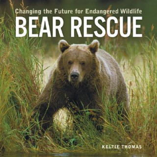 Książka Bear Rescue: Changing the Future for Endangered Wildlife Keltie Thomas