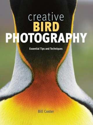 Carte Creative Bird Photography: Essential Tips and Techniques Bill Coster