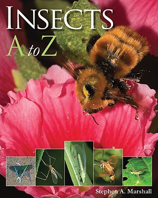 Kniha Insects A to Z Stephen A. Marshall