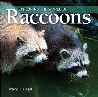 Книга Exploring the World of Raccoons Tracy C. Read