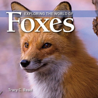 Könyv Exploring the World of Foxes Tracy C. Read
