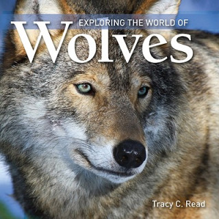 Könyv Exploring the World of Wolves Tracy C. Read