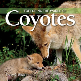 Kniha Exploring the World of Coyotes Tracy C. Read