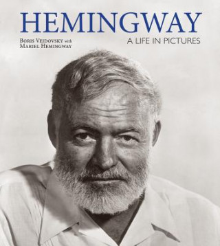 Kniha Hemingway Boris Vejdovsky