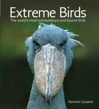 Kniha Extreme Birds: The World's Most Extraordinary and Bizarre Birds Dominic Couzens