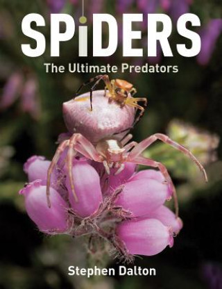 Knjiga Spiders: The Ultimate Predators Stephen Dalton