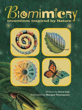 Buch Biomimicry Dora Lee