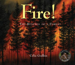 Kniha Fire!: The Renewal of a Forest Celia Godkin