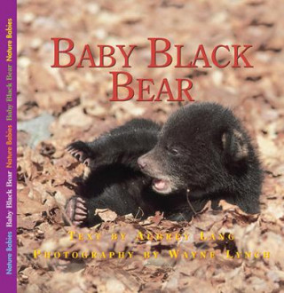 Carte Baby Black Bear Aubrey Lang
