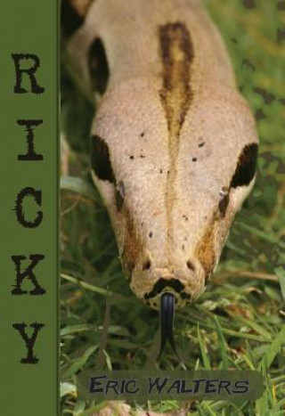 Könyv Ricky Eric Walters