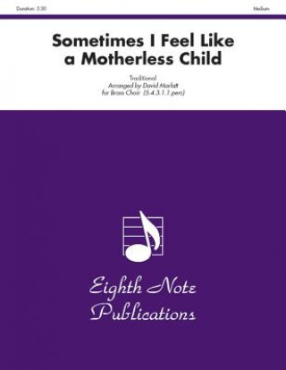 Kniha Sometimes I Feel Like a Motherless Child: Score & Parts David Marlatt