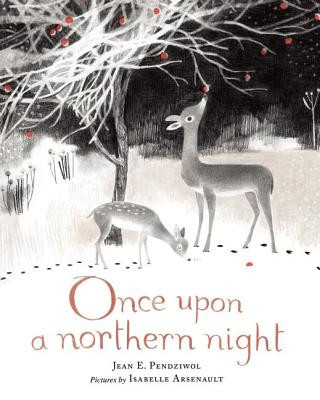 Kniha Once Upon a Northern Night Jean E. Pendziwol