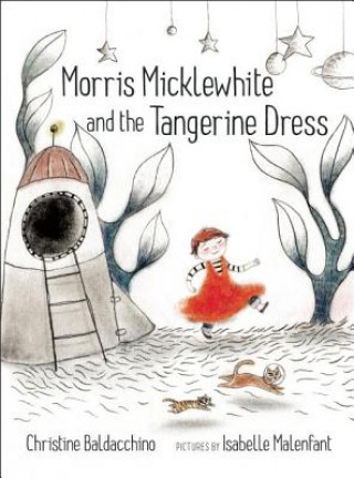 Könyv Morris Micklewhite and the Tangerine Dress Christine Baldacchino