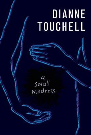 Buch A Small Madness Diane Touchell