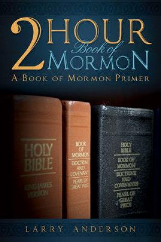 Kniha 2 Hour Book of Mormon: A Book of Mormon Primer Larry Anderson