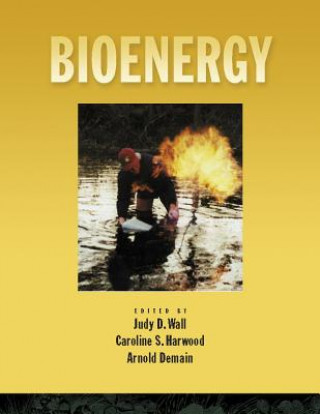 Kniha Bioenergy Judy D. Wall