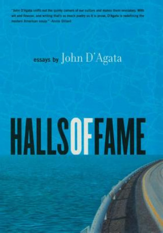 Carte Halls of Fame: Essays John D'Agata