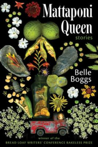 Книга Mattaponi Queen: Stories Belle Boggs