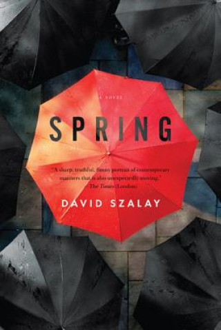 Knjiga Spring David Szalay
